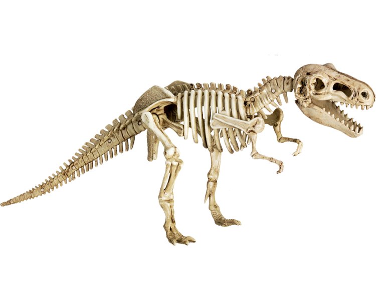 Ausgrabungsset T-Rex T-Rex World (ca.19x12x4 cm) - SPIEGEL 14500