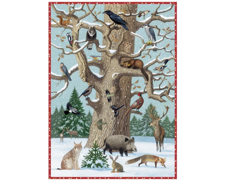 Adventskalender Tiere im Winter - COPPENRATH 70003