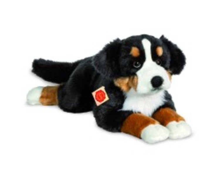Berner Sennenhund liegend, 60 cm - HERMANN TEDDY 927815