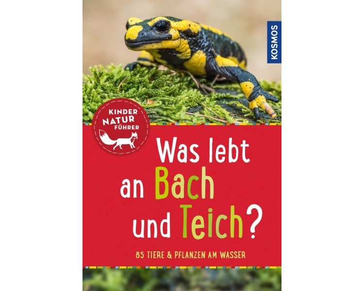 Was lebt an Bach und Teich? Kindernaturführer - KOSMOS 14799