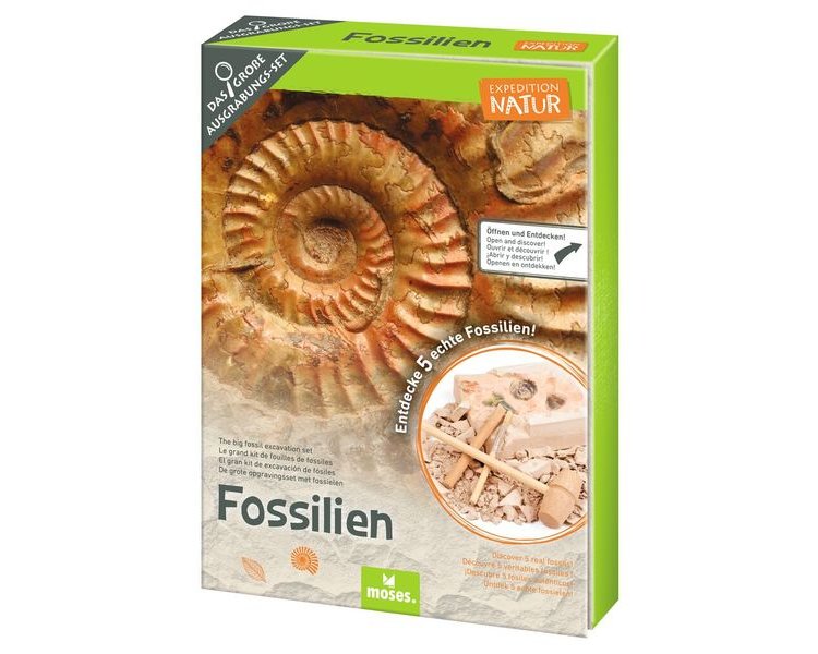 Expedition Natur: Das große Fossilien-Ausgrabungs-Set - MOSES 09832