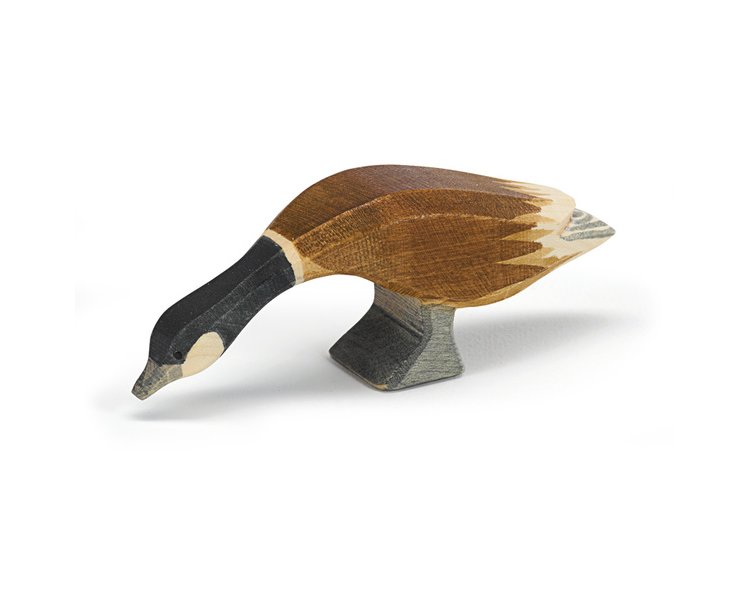 Kanadagans Hals lang - OSTHEIMER 22702