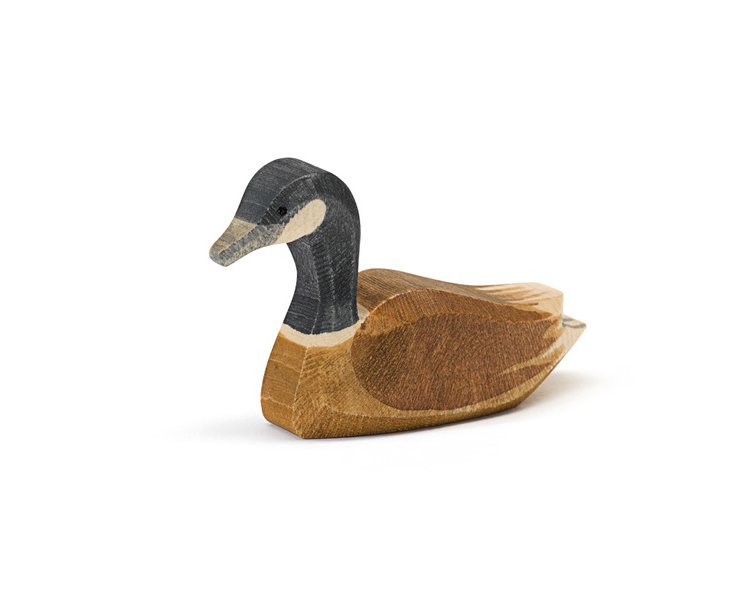 Kanadagans schwimmend - OSTHEIMER 22703