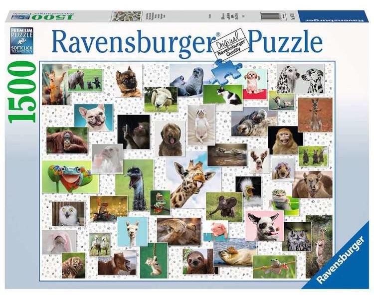 Puzzle 1500 Teile: Funny Animals Collage - RAVEN 16711